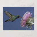 Suche nach pollen poster Fliege