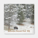 Recherche de région magnets National