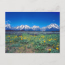 Recherche de champ des fleurs cartes postales Montagnes