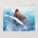 Suche nach grizzlybär postkarten Wild