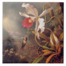 Suche nach orchideen blumen fliesen Vogel