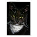 Suche nach cute love karten Cat lover