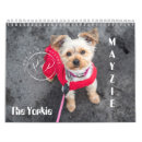 Suche nach yorkie kalender Welpe