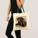 Recherche de laboratoire de chocolat sacs Mignon