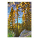 Recherche de flaque posters Automne