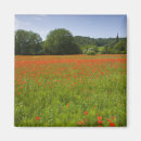 Recherche de agricole magnets Fleur