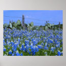 Recherche de texas art Colline