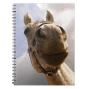 Recherche de cheval gris carnets Équin