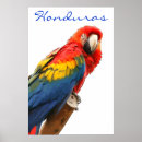 Suche nach honduras poster Tier