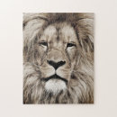 Recherche de lion puzzles Roi