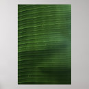 Suche nach wassertropfen poster Pflanze
