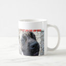 Suche nach englischer mastiff tassen Hund