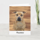 Suche nach pit bull karten Terrier