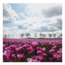 Recherche de tulipe rose posters Pour tous
