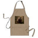 Recherche de wombat tabliers Faune