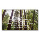 Suche nach morgen visitenkarten Wald