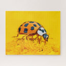 Suche nach marienkäfer puzzle Puzzlespiel