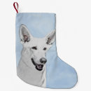 Recherche de bergers chaussette de noël Chien