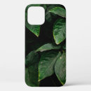 Recherche de verts photographie Plante