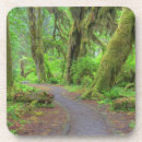 Recherche de arbre m bar Parc national
