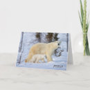 Suche nach tundra karten Eisbären