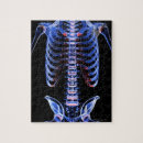 Recherche de corps humain puzzles Image de rayon x