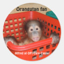 Suche nach orang utan baby aufkleber Tier
