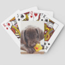Recherche de chocolate jeux de cartes Animal