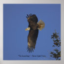 Recherche de aigle art Inspirant