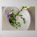 Suche nach knospen poster Lila