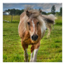 Recherche de paint horse posters Amoureux des animaux