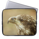 Suche nach das adler laptop schutzhüllen Tierwelt