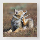Suche nach foxes wanduhren Wildlife