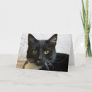 Suche nach lilly karten Schwarzes