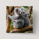 Suche nach australier buttons Modern
