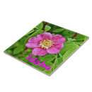 Recherche de flore carreaux Fleur sauvage
