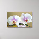 Recherche de orchidée art Toile