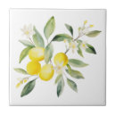 Recherche de citron carreaux Aquarelle