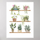 Suche nach topf pflanze poster Blätter