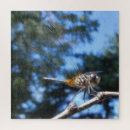 Suche nach dragonfly puzzle Insekt