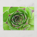 Suche nach grüner frieden postkarten Liebe