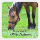 Recherche de appartient autocollants Mignon