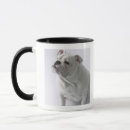 Recherche de bouledogues anglais tasses Humour