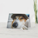 Recherche de corgi anniversaire cartes Rire