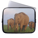 Suche nach elefanten laptop schutzhüllen Wild