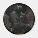 Recherche de merchbooth magnets Animaux