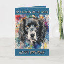 Suche nach special Hund