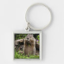 Recherche de marmottes porteclés Canard