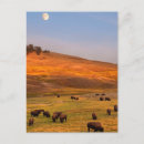 Recherche de consommation posters Usa de l'ouest