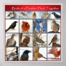 Recherche de birds of a feather Volée